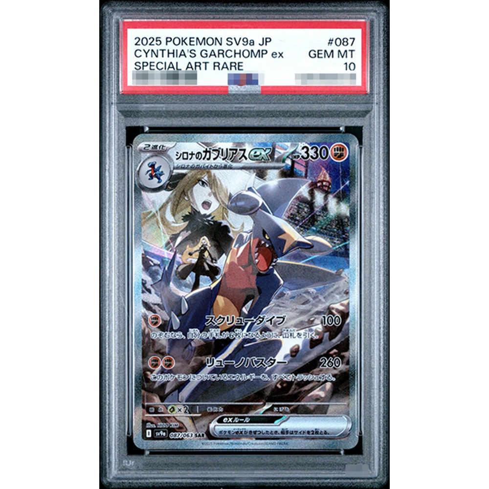 2025 Ptcg Collection Diy Proxy – Board Game Research recenzja i cena